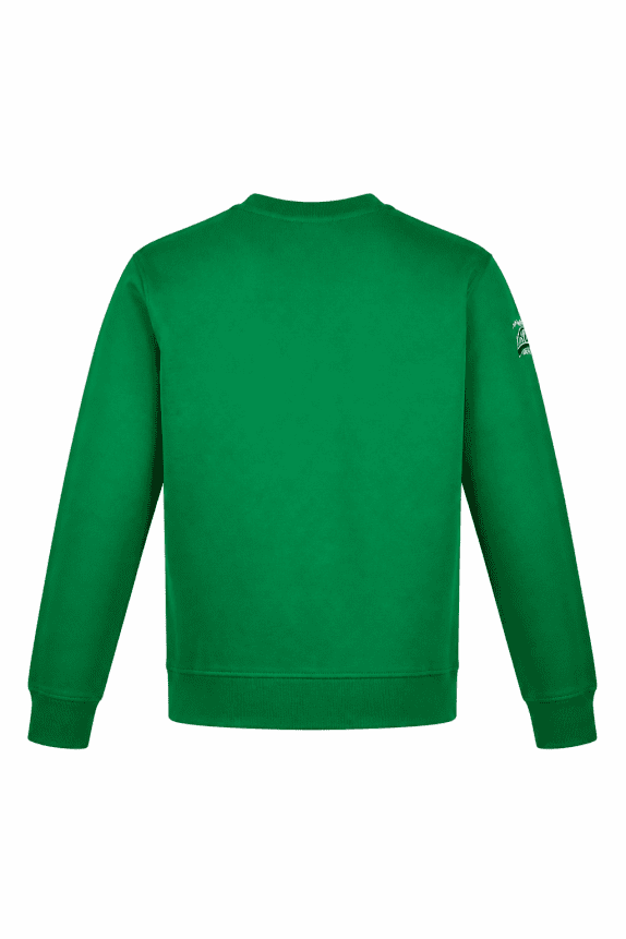 90s VINTAGE CREWNECK COLLEGE ΠΡΑΣΙΝΟ ΑΝΤΡΙΚΟ PRE OWNED XL