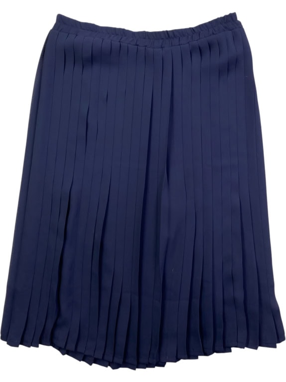 ALBA FORNARI SKIRT PLEATED VINTAGE LOGO BLUE WOMEN L