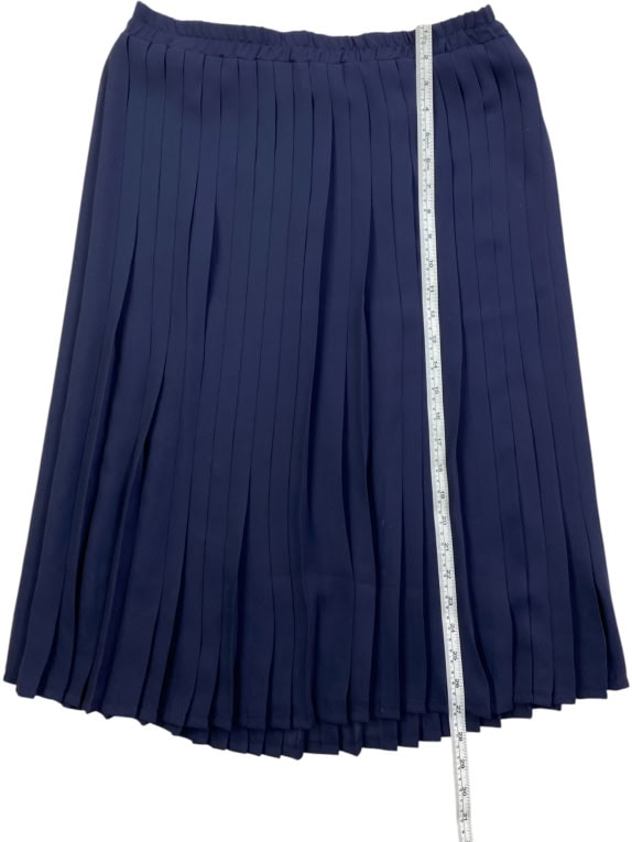 ALBA FORNARI SKIRT PLEATED VINTAGE LOGO BLUE WOMEN L