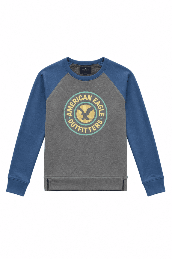 AMERICAN EAGLE OUTERWEAR SWEATSHIRT GRAPHIC GREY BLUE MEN PRE OWNED S