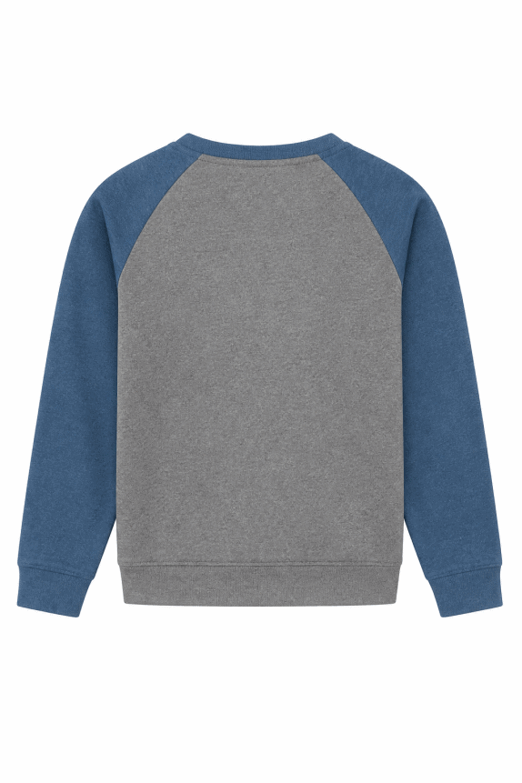 AMERICAN EAGLE OUTERWEAR SWEATSHIRT GRAPHIC GREY BLUE MEN PRE OWNED S