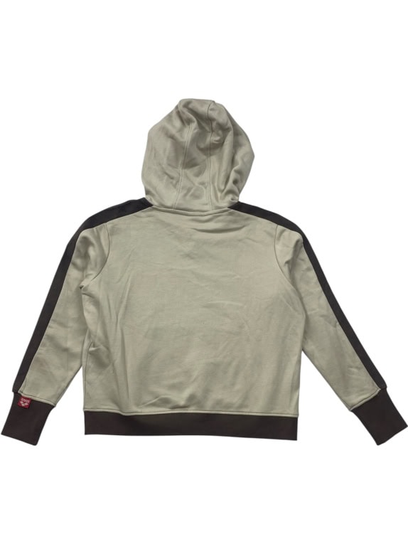 Arena Φούτερ Hoodie Vintage Logo Μπεζ Ανδρικό S