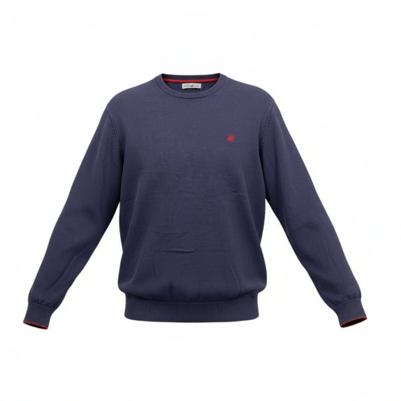 BEVERLY HILLS POLO CLUB Πλεκτό Πουλόβερ Casual Με Λογότυπο Μπλε Ανδρικό M