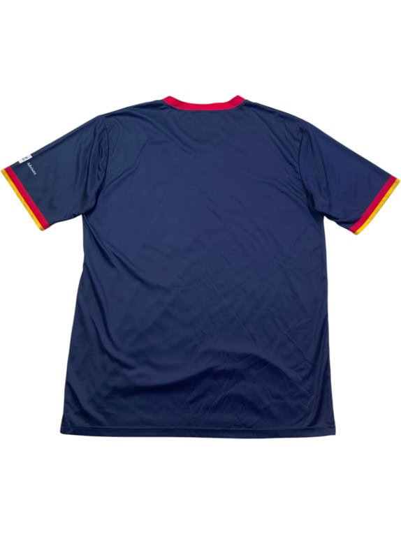 CARDINALS GRAHIC TEE SPORTSWEAR ΜΠΛΕ ΑΝΤΡΙΚΟ PRE OWNED L