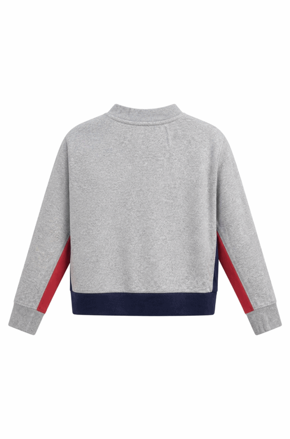 CHAMPION CREWNECK RETRO ΓΚΡΙ ΚΟΚΚΙΝΟ ΑΝΤΡΙΚΟ PRE OWNED M
