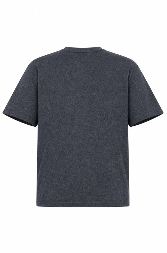 CHAMPION GRAPHIC TEE COLLEGE GRIGIO UOMO PRE OWNED L