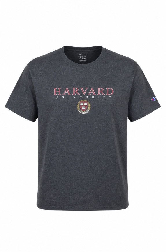CHAMPION GRAPHIC TEE COLLEGE ΓΚΡΙ ΑΝΤΡΙΚΟ PRE OWNED L