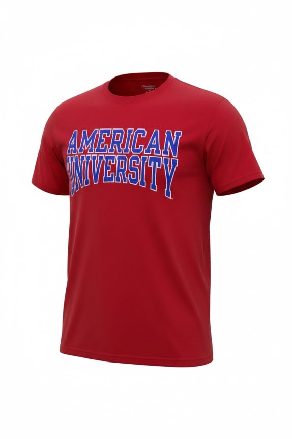 CHAMPION T SHIRT GRAFICA COLLEGIATE ROSSA UOMO PRE OWNED L