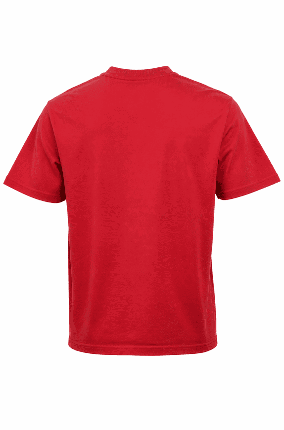 CHAMPION GRAPHIC TEE RED MEN PRE OWNED S