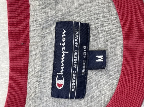 CHAMPION GRAPHIC TEE SPORTY GREY RED MEN PRE OWNED M