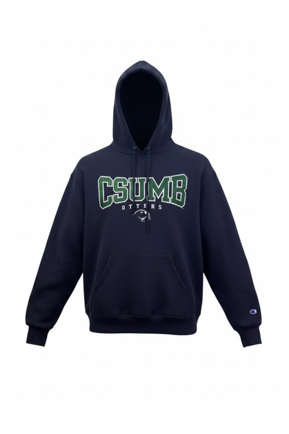 CHAMPION FELPA CON CAPPUCCIO COLLEGIATE NAVY UNISEX PRE OWNED M
