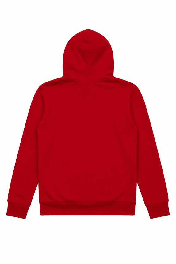 CHAMPION HOODIE STREETWEAR ΚΟΚΚΙΝΟ ΑΝΤΡΙΚΟ PRE OWNED M