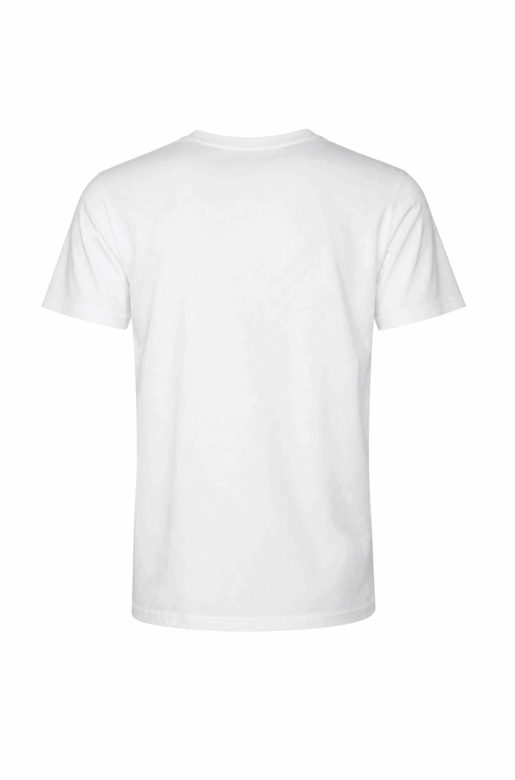 CHAMPION T SHIRT ΜΙΝΙΜΑΛ ΛΕΥΚΟ ΑΝΤΡΙΚΟ PRE OWNED M