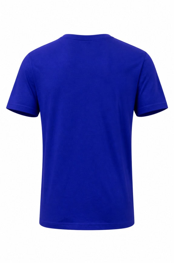 CHAMPION TEE GRAPHIC ΜΠΛΕ ΑΝΤΡΙΚΟ PRE OWNED S