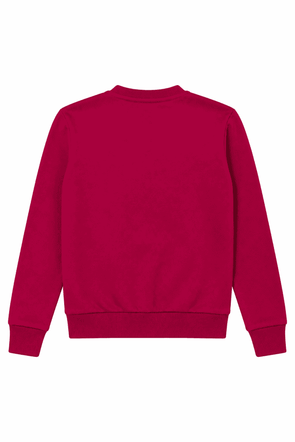NORTH SAILS  CREWNECK MINIMAL FUCHSIA WOMENS PRE OWNED S