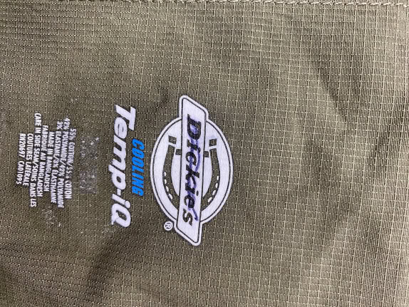 Dickies Σαλοπέτα Cargo Workwear Logo Χακί Unisex ~W24