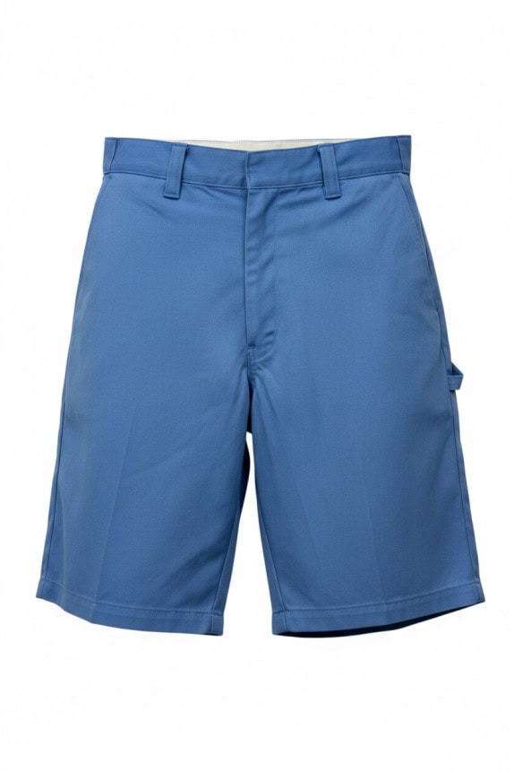 DICKIES BERMUDA WORKWEAR BLU UOMO PRE OWNED L