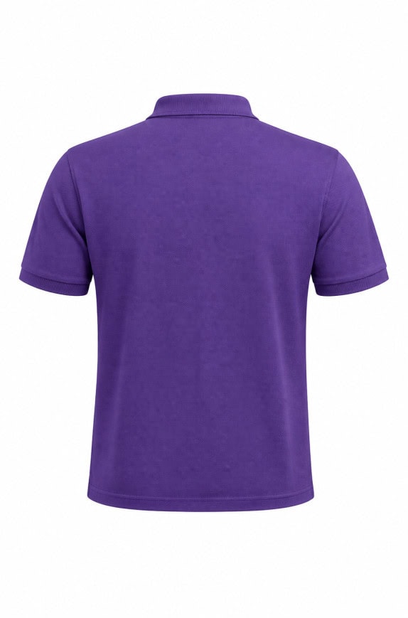 GANT POLO SHIRT MINIMAL VIOLA UOMO PRE OWNED M
