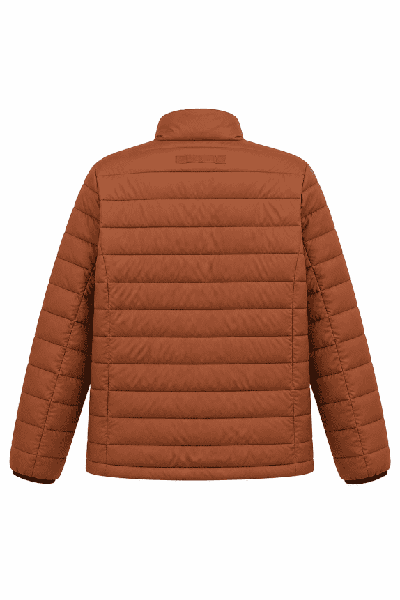 GANT PIUMINO MINIMAL MARRONE UOMO PRE OWNED L