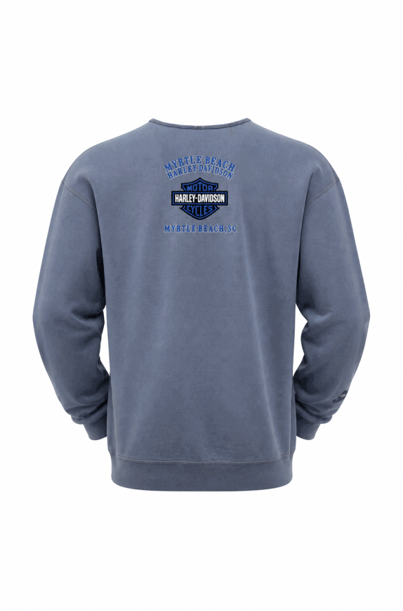 HARLEY DAVIDSON 90s FELPA CREWNECK VINTAGE WASHED BLUE UOMO PRE OWNED M