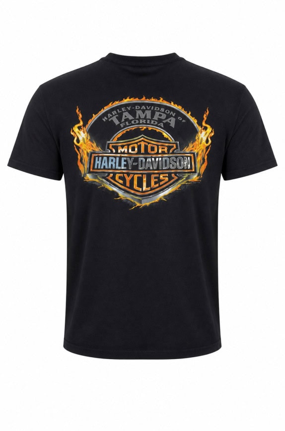HARLEY DAVIDSON GRAPHIC TEE BLACK ΑΝΔΡΙΚΟ PRE OWNED M