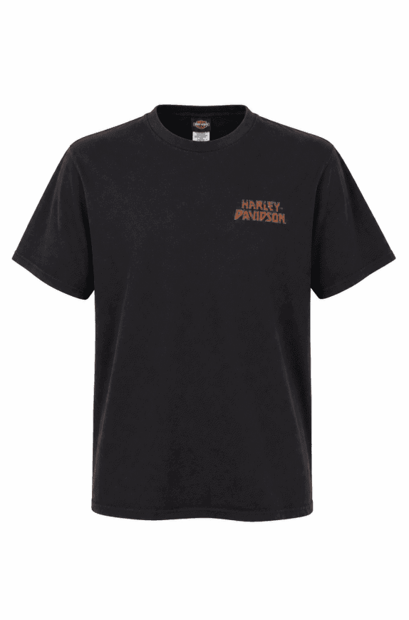 HARLEY DAVIDSON GRAPHIC TEE NERO UOMO PRE OWNED XXL