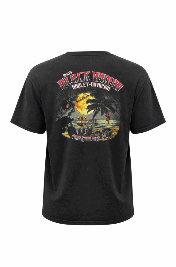 HARLEY DAVIDSON GRAPHIC TEE NERO UOMO PRE OWNED XXL
