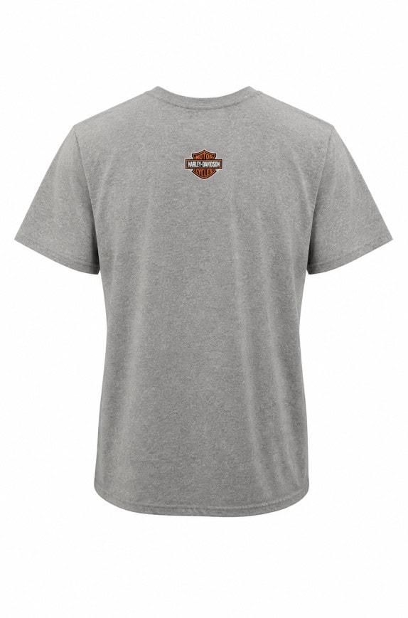HARLEY DAVIDSON GRAPHIC TEE GREY MEN PRE OWNED XL