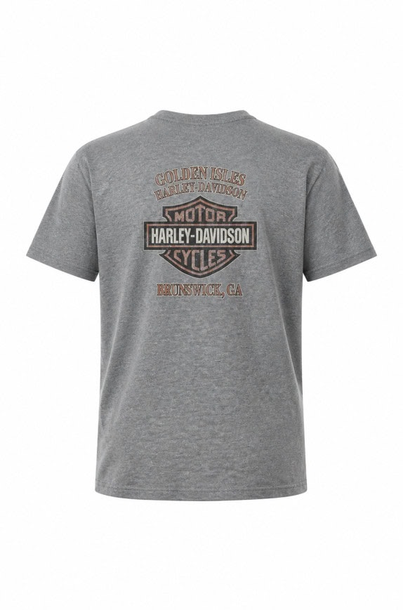 HARLEY DAVIDSON GRAPHIC TEE MELANGE GREY MEN PRE OWNED M