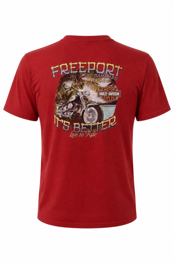 HARLEY DAVIDSON GRAPHIC TEE RED ΑΝΤΡΙΚΟ PRE OWNED L