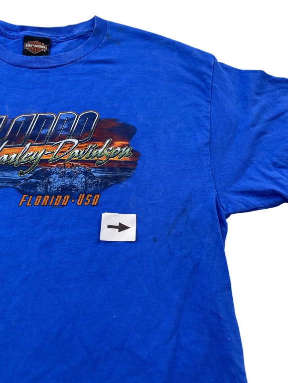 HARLEY DAVIDSON GRAPHIC TEE RETRO BLUE MENS PRE OWNED M