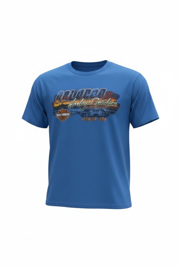 HARLEY DAVIDSON GRAPHIC TEE RETRO ΜΠΛΕ ΑΝΤΡΙΚΟ PRE OWNED M