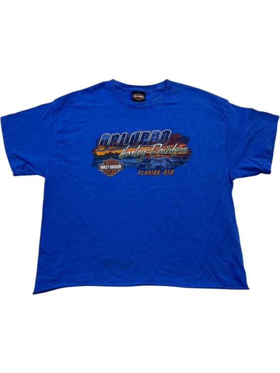 HARLEY DAVIDSON GRAPHIC TEE RETRO BLUE MENS PRE OWNED M