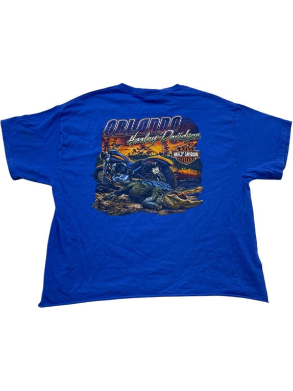 HARLEY DAVIDSON GRAPHIC TEE RETRO BLUE MENS PRE OWNED M