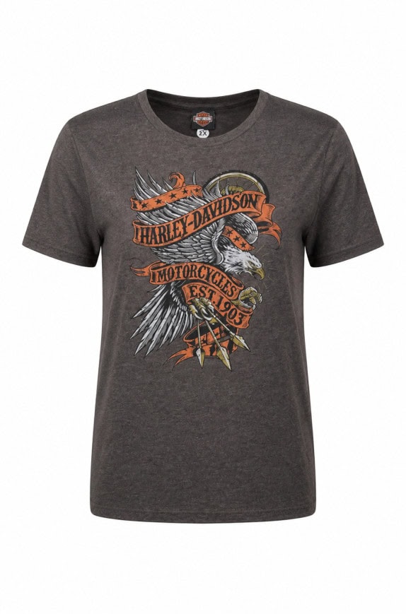 HARLEY DAVIDSON GRAPHIC TEE VINTAGE CHARCOAL UOMO PRE OWNED XL