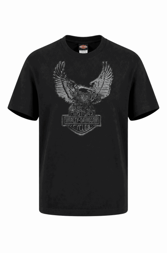 HARLEY DAVIDSON GRAPHIC TEE RETRO BLACK MENS PRE OWNED