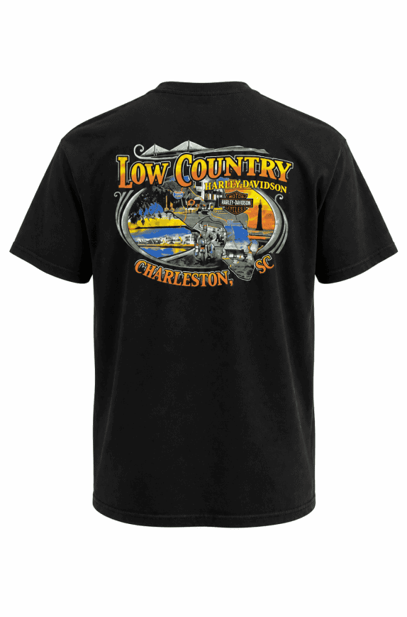 HARLEY DAVIDSON GRAPHIC TEE VINTAGE ΜΑΥΡΟ ΑΝΤΡΙΚΟ PRE OWNED XXL