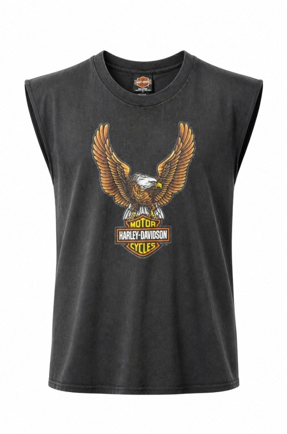 HARLEY DAVIDSON GRAPHIC TEE VINTAGE ΜΑΥΡΟ ΑΝΤΡΙΚΟ PRE OWNED