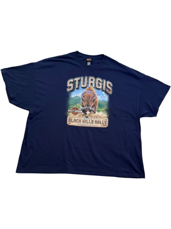 HARLEY DAVIDSON GRAPHIC TEE VINTAGE NAVY ΑΝΔΡΙΚΟ PRE OWNED 5XL