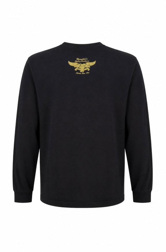HARLEY DAVIDSON LONGSLEEVE GRAPHIC BLACK ΑΝΤΡΙΚΟ PRE OWNED M