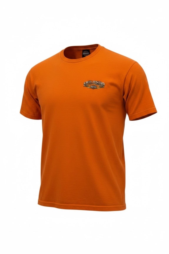 HARLEY DAVIDSON T SHIRT GRAFICA ARANCIONE UOMO PRE OWNED L