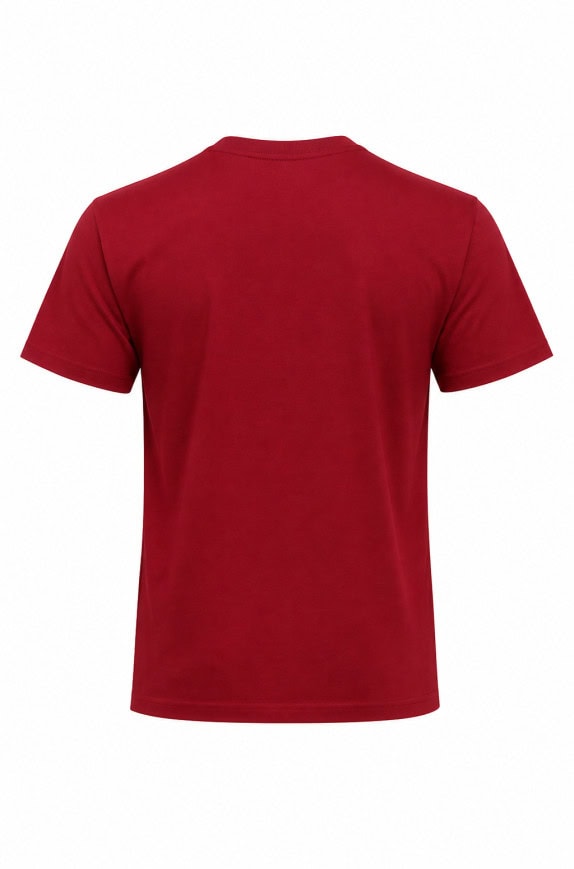 HOLLISTER GRAPHIC TEE MINIMAL RED MENS PRE OWNED M