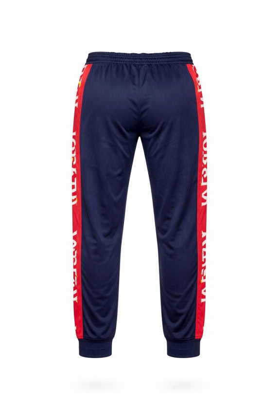 JORDAN PANTALONI TUTA STREETWEAR BLU UOMO PRE OWNED L