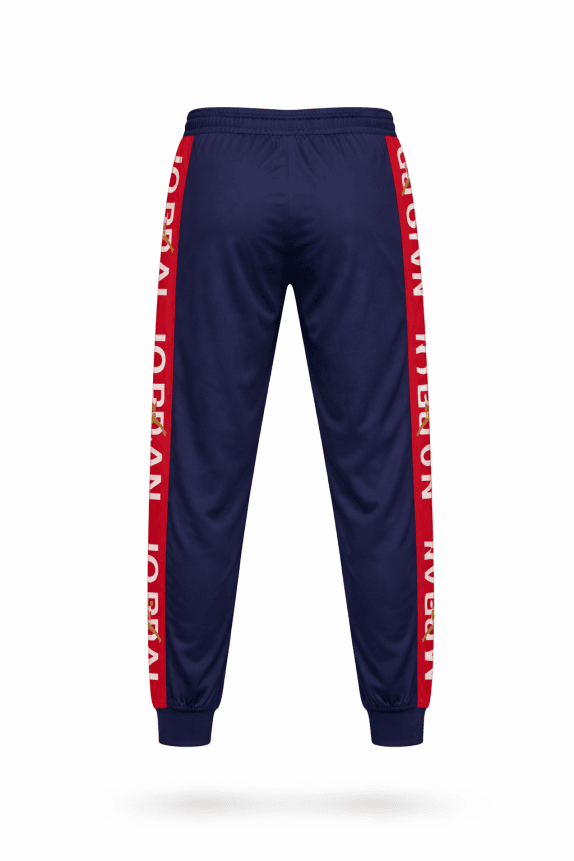 JORDAN ΠΑΝΤΕΛΟΝΙ ΦΟΡΜΑΣ STREETWEAR ΜΠΛΕ ΑΝΤΡΙΚΟ PRE OWNED L