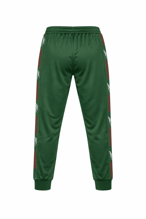 LACOSTE PANTALONI TUTA SPORTY VERDE UOMO PRE OWNED L