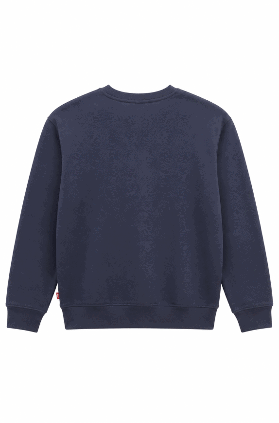 LEVIS ΦΟΥΤΕΡ ΜΠΛΕ ΑΝΤΡΙΚΟ PRE OWNED M