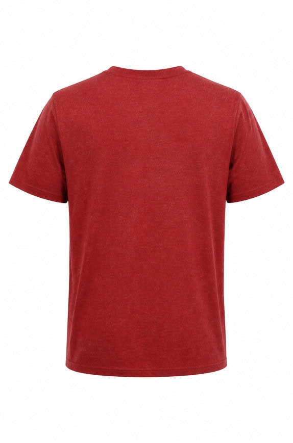LEVIS GRAPHIC TEE WASHED RED ΑΝΤΡΙΚΟ PRE OWNED M
