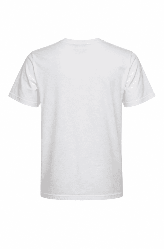 LEVIS GRAPHIC TEE WHITE ΑΝΤΡΙΚΟ PRE OWNED M