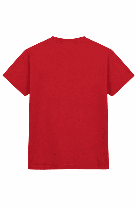 MAJESTIC GRAPHIC TEE RED MEN PRE OWNED M