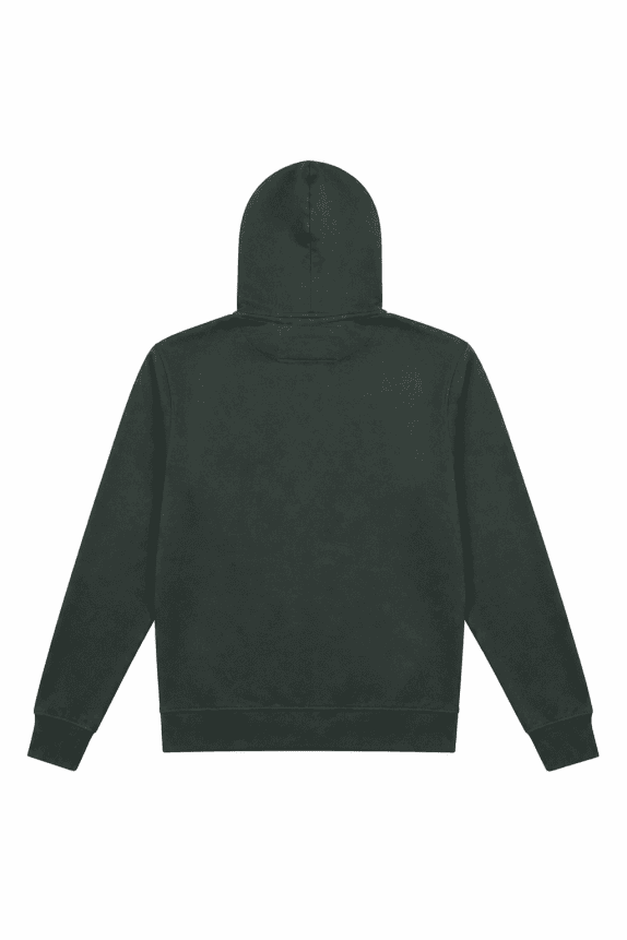 NAPAPIJRI HOODIE GRAPHIC GREEN MEN PRE OWNED L